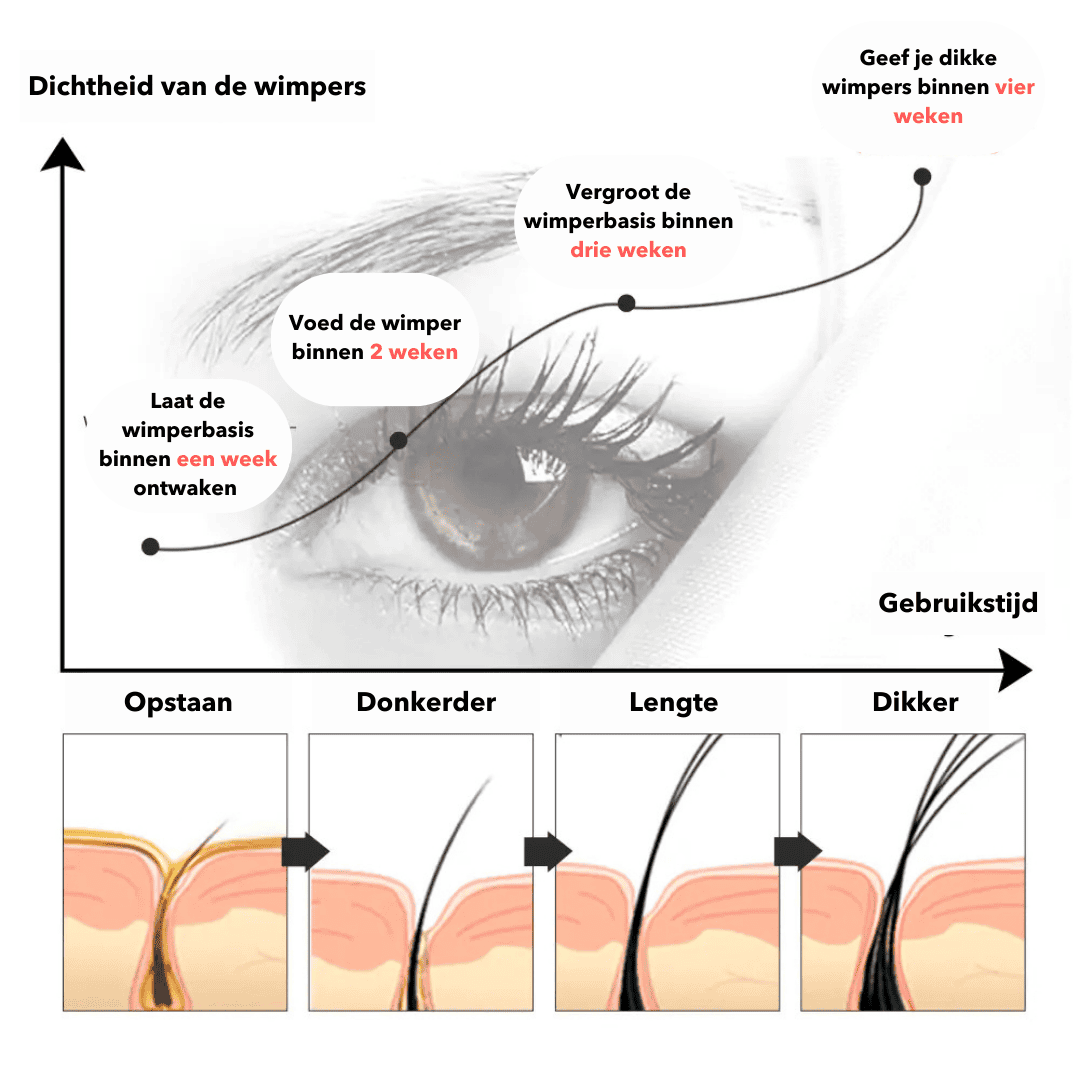 Lash Serum